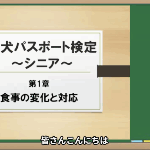 有料講座確認用