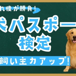愛犬パスポート検定 – 愛犬ともっと心を通わせるために