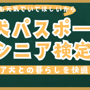 愛犬パスポートシニア検定 – 老いに寄り添うための準備