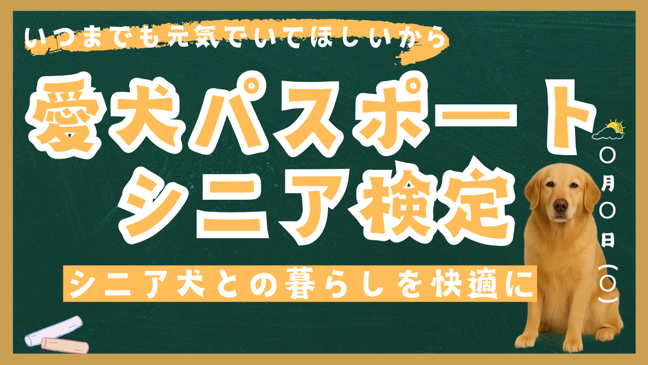愛犬パスポートシニア検定 – 老いに寄り添うための準備